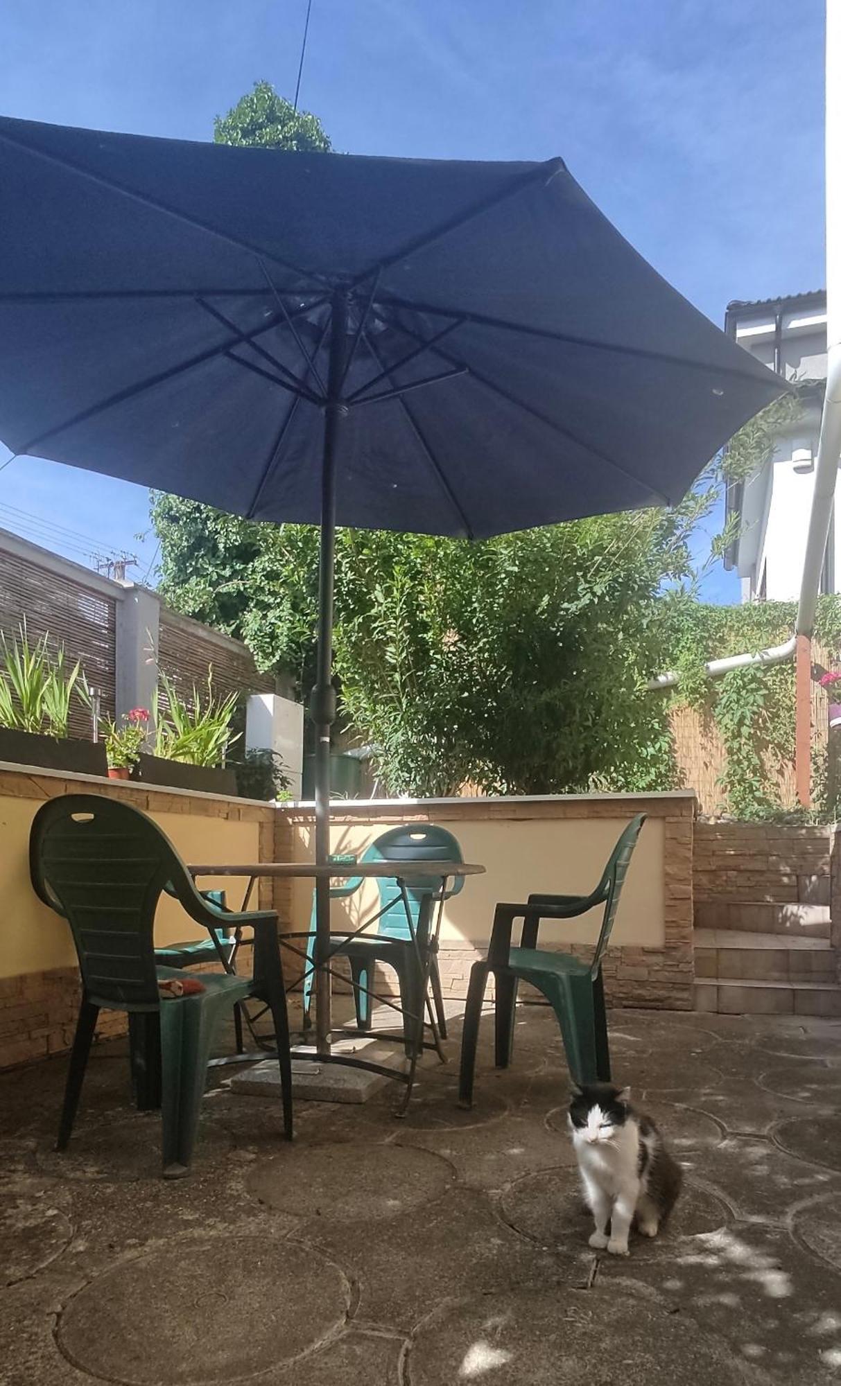 Privat 2 Na Sihoti Apartment Trenčín Екстериор снимка